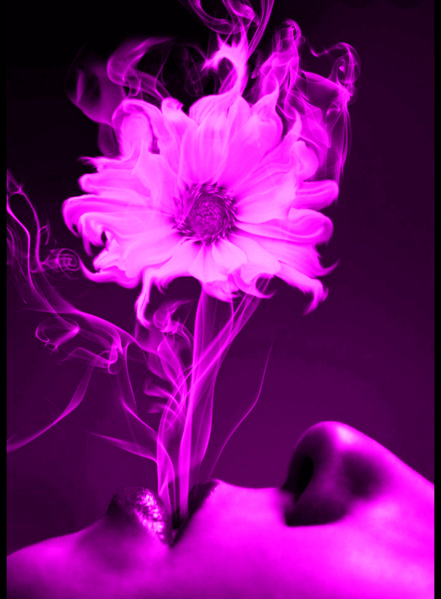 Vapora Collection Dry Herb Vaporizers Smoker's Emporium Toronto